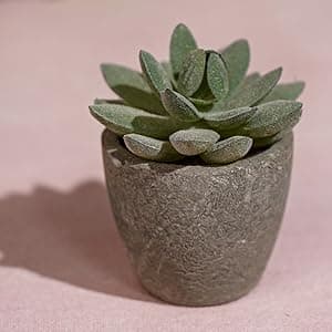 Get Well Soon Gift Baskets For Women,12PC Get Well Gifts for Women After Surgery,Birthday Gifts,Care Package,Grief,Sympathy,Condolences Gift Basket for Friend (pink)