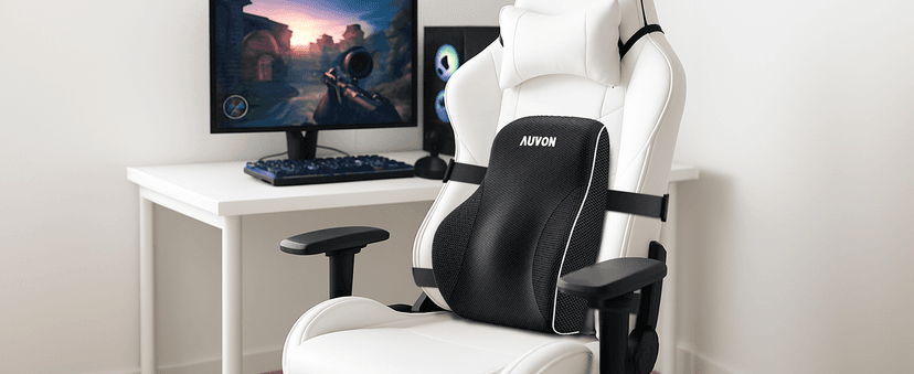 AUVON Lumbar Support Pillow for Office Chair with Patented Bulge for Lower Back Support, Ergonomic Office Home Essentials Improve Posture, Memory Foam Chair Cushion with Straps for Home, Office, Car