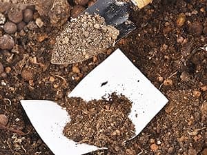 Poesie Laundry Detergent Sheet Sage Breeze Scent 160 Count Washer Sheets Detergent for Travel RV Trip Camping Home Dorm