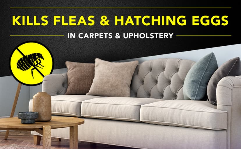 Raid Flea Killer Carpet & Room Spray, Kills hatching eggs for up to 4 months, 16 Oz