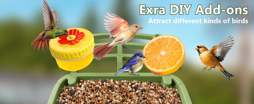 Smart Bird Feeder with Camera Solar Powered, AI Birds Species Identification, 2.5K HD Video Bird House with Camera for Outside, Weatherproof Design Ideal Gifts for Christmas, Bird Lovers, Green