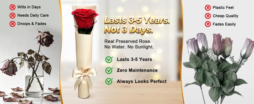 Preserved Rose Flowers for Delivery, Single Red Forever Roses Real Flower Gifts for Women Mom, Mother's Day Wife Anniversary Wedding Graduation Christmas Valentine's Day Rose Gifts for Her Girlfriend B0HBVTMNM1