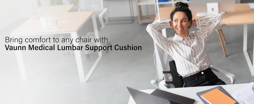 Vaunn Medical Seat Cushion, Lumbar Back Support Pillow for Office Chair with Removable Firm Insert