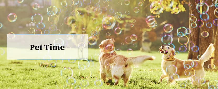 JOYIN Big Bubble Wands Set Bulk for Kids Summer Outdoor Toy Game Activity Party Favors, 18 Pcs Giant Bubble Maker with Tray, 12" Large, 6 Pcs Solution Suitable for All Age People