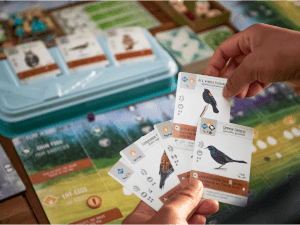 Stonemaier Games: Wingspan (Base Game) by Elizabeth Hargrave | A Relaxing, Award-Winning Strategy Board Game About Collecting Birds for Adults and Family | 1-5 Players, 70 Mins
