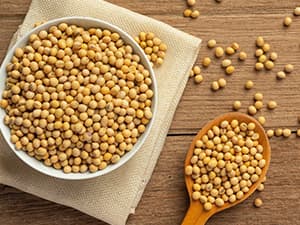 Homsolver Gifts for Grandma from Granddaughter Grandson, Christmas, Birthday, Mother and Grandparents Day, Lavender Scented Candles, Grandma’s Last Nerve