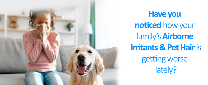 Prolux Tritan Bagged Canister Vacuum Cleaner with Sealed HEPA Filtration, 5-Speed Motor, Best Rated Canister for Pet Hair and Home Cleaning