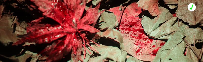 LUMENSHOOTER LUMENSHOOTER B2 Blood Tracking Light for Deer, Blood Tracker Flashlight for Hunting, Deer Hunting Accessories for Men