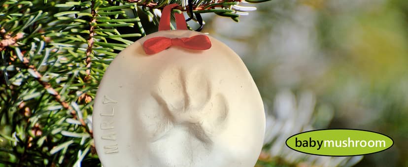 Ultimate Pawprint Keepsake Kit (Makes 2) - Paw Print Christmas Ornament w/ Bonus Personalization Tool & Display Stands! For Dogs, Cats & Pets. Non-toxic. Clay Air-Dries Soft, Light & Uncrackable.