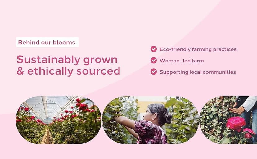 Aquarossa Farms – Flowers for Delivery, Fresh Flowers Bouquet, Handpicked from the Farm, Gift for Birthday, Anniversary, or Just Because – 24 Fresh Roses