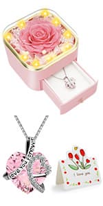 Preserved Red Real Rose with Heart I Love You Necklace -Eternal Flowers Rose Birthday Gifts for Women Her Mom Wife Girlfriend Grandma on Valentines Mothers Day Christmas Anniversary Romantic-Red