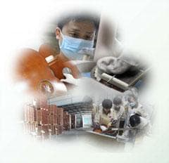 Yamaha FS800J Small Body Solid Top Acoustic Guitar, Natural, Concert