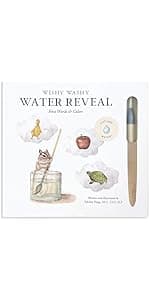 Wishy Washy (Water Reveal Edition): A Reusable Water Reveal Activity Book Teaching First Words and Colors (Tabitha Paige Children's Book Series) 196318355X