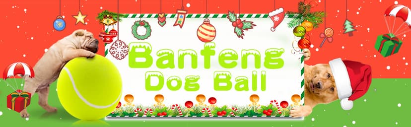 Giant 9.5" Dog Tennis Ball Large Pet Toys Funny Outdoor Sports Ball with Inflating Needles for Small Medium Large Dog