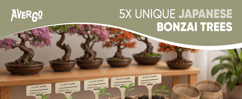 Bonsai Tree Kit for Beginners – 5X Unique Japanese Bonzai Trees | Complete Indoor Starter Kit for Growing Bonsai Plants with Tools & Planters – Gardening Gifts for Women & Men
