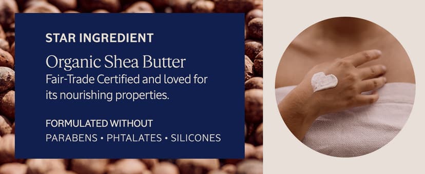 L’Occitane Hand Cream Classics 3-Piece Gift Set, Moisturizing Skincare Trio, Nourishing Creams for Dry Hands, Nails, and Cuticles, Travel-Sized, Vegan