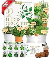 Bonsai Tree Kit - Gifts for Men & Women - Grow 4 Bonsai Trees - Unique Gardening Crafts for Adults, DIY Hobbies for Plant Lovers & Gardeners - Unusual Christmas Gift Ideas for Mom & Dad