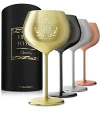 Gusto Nostro 60th Birthday Wine Glass - Happy 60th Birthday Gifts for Women/Men - Stainless Steel Wine Glass with Engraved Vintage Sixty Bday Quote, Luxury Box - Unique Gifts for 60 Year Old Woman,Man B0GGB4H1SW