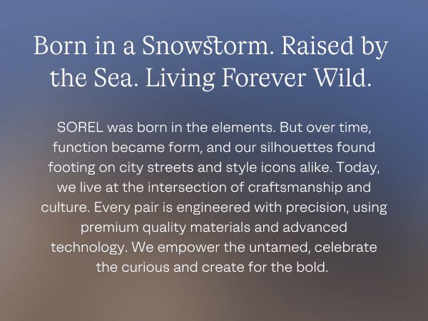 Sorel Women's Joan Frwd Chelsea Boot