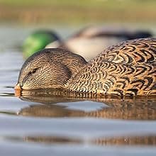 Avian-X Power Shaker Motion Decoy