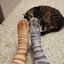 FreeNFond Funny Animal Paw Socks Gag Gifts for White Elephant Gift Exchange