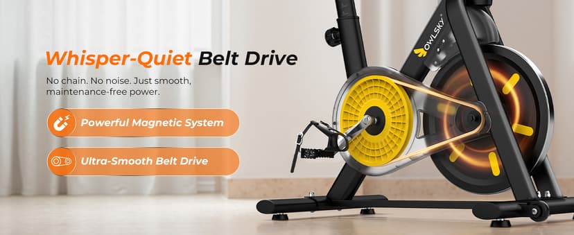 OWLSKY Exercise Bike with APP, Magnetic Resistance Indoor Cycling Bike, 300 lbs Capacity Quiet Stationary Bike for Home Gym Cardio Workout