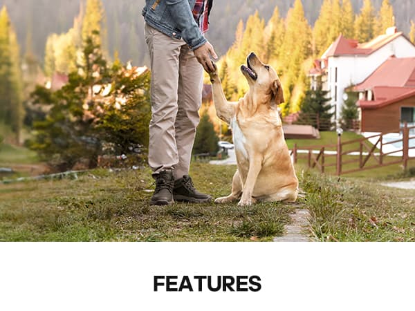 NORTIV 8 Men's Hiking Boots Lightweight Fashion Casual Chukka Ankle Boots Elevation