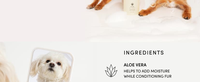 OUAI Fur Bébé Pet Shampoo, Mercer Street Scent - Dog Shampoo and Coat Wash for Hydrating, Cleansing and Adding Shine - Pet Supplies by OUAI (16 Fl Oz)