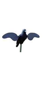 MOJO Outdoors Coot Confidence Decoys for Duck Hunting, Increases Realism and Entices Ducks to Land, Pack of 6