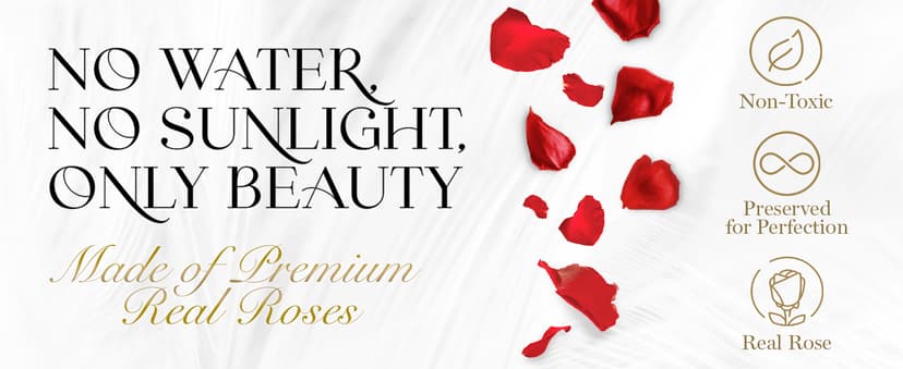 16 Flower Forever Heart Shape Box - Preserved Roses Gift for Her, Preserved Flowers, Red