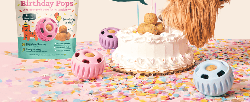 WOOF Pupsicle Birthday Pops - Healthy Dog Treats - Pre-Made Pupsicle Refills - Wholesome Ingredients - Naturally Sweet - Cake-Flavored Birthday Treat for Dogs - XL