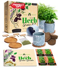 Bonsai Tree Kit - Gifts for Men & Women - Grow 4 Bonsai Trees - Unique Gardening Crafts for Adults, DIY Hobbies for Plant Lovers & Gardeners - Unusual Christmas Gift Ideas for Mom & Dad