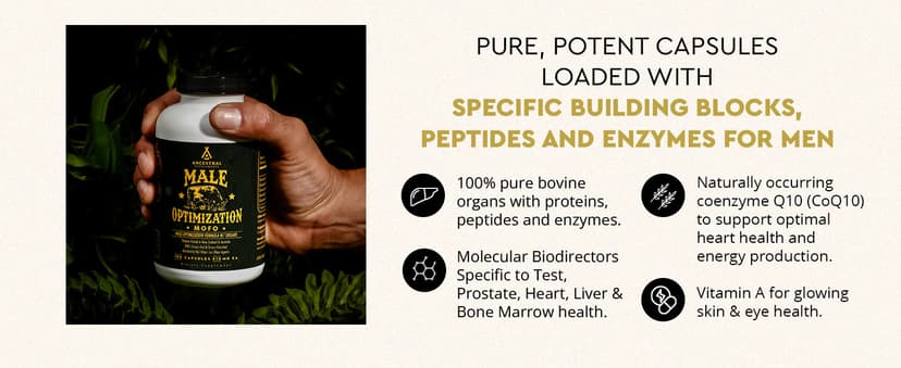Ancestral Supplements Ancestral Supplements Mofo, Supplements for Men, Support for Energy Levels and Overall Men's Health and Wellness, Non-GMO Grass Fed Beef Organ Supplement with Liver, No Fillers, 180 Capsules