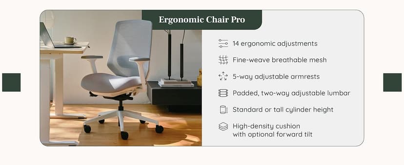Branch Ergonomic Chair - A Versatile Desk Chair with Adjustable Lumbar Support, Breathable Mesh Backrest, and Smooth Wheels - Experience Optimal Comfort and Support - Graphite - White