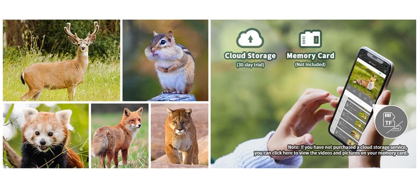 SEHMUA 4G LTE Cellular Trail Cameras 3rd Gen with Live Streaming, Game Camera Built-in SIM Card with Motion Activated 0.2s Trigger Time Solar Trail Camera IP66 Waterproof