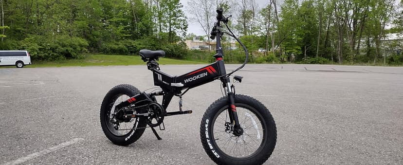 TotGuard Electric Bike,20" Electric Bike for Adults Peak 750W Brushless Motor,20MPH Fat Tire Ebike,Foldable Adult Electric Bicycles with 48V 10Ah Removable Battery,7-Speed,SGS Certified to UL 2849