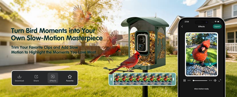4K Ultra HD Video with Live View,10x Slow Motion,AI Smart Bird Feeder with Camera,2.4G/5G Wi-Fi,Durable Metal,Bird Lover Gift 4K Smart Bird Feeder with Camera,No Subscription,Solar Powered B0FMDP272Y