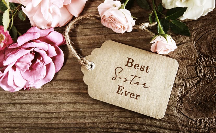 Sister Gifts, 32" Bronze Wind Chimes Sister Gifts for Women, Gifts for Sister, Sisters Gifts from Sister, Gifts for Sister in Law, Best Sister Ever Gifts