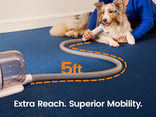 oneisall Dog Grooming Vacuum, 15000Pa Pet Vacuum Kit Shedding 99% Pet Hair, Dog Grooming Clippers with Trimmer Nail Grinder, ≤ 59dB Quiet Brush with 6 Tools, 2L Canister for Home Cleaning,Cozy SE 2