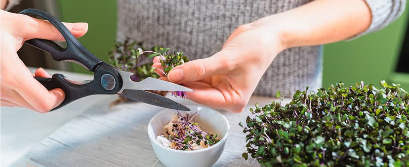 Knife Set, Brewin Kitchen Knife Set, Knives Set for Kitchen, Universal Knife Block, Utility Knife Block Set, New Home Essentials, Apartment Essentials, Dishwasher Safe