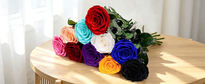 Preserved Rose Flowers for Delivery, Single Red Forever Roses Real Flower Gifts for Women Mom, Mother's Day Wife Anniversary Wedding Graduation Christmas Valentine's Day Rose Gifts for Her Girlfriend B0HBVTMNM1