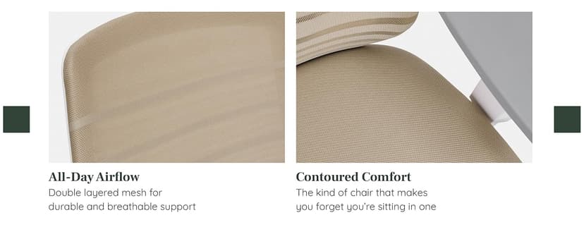 Branch Ergonomic Chair - A Versatile Desk Chair with Adjustable Lumbar Support, Breathable Mesh Backrest, and Smooth Wheels - Experience Optimal Comfort and Support - Graphite - White