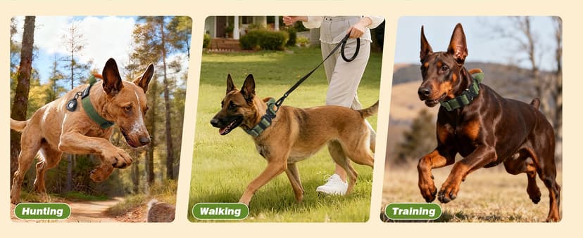 WINGOIN Tactical Dog Collar with AirTag Holder, Heavy Duty Reflective Padded Nylon Collar for Large Dogs, Quick Release Metal Buckle, Dogcollar for Training Walking Hunting, IPX5 Waterproof, Green,L