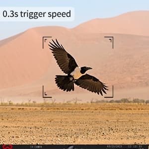 Mini Trail Camera 4 Pack 24MP 1080P HD, Game Cam with SD Card, Waterproof Tiny Deer Camera Night Vision Motion Activated with Fast Trigger Time for Outdoor Wildlife Monitoring