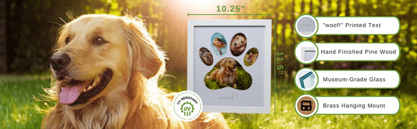 Green Pollywog 5-Opening Paw Print Collage Frame | Paw Print Picture Frame | Display for Photos for Pets | Dog Mom Gift | Dog Dad Collage | Pet Memorial Picture Gallery
