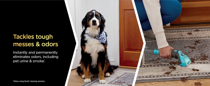 Shark Carpet Xpert Hair Pro with Stain Striker, Upright Carpet, Area Rug & Upholstery Cleaner, Carpet Shampooer, 4 Tools, Copper, EX301