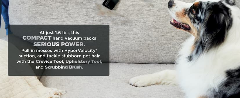 Shark Cyclone PET Handheld Vacuum with, HyperVelocity Suction, Powerful Pet Hair Pickup, Lightweight, XL Dust Cup, Including Upholstery Tool, 8" Crevice Tool, Scrubbing Brush, Pearl White, AA701