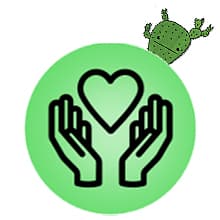 What's The Point? The Cactus Card Game - A Fun and Strategic Game for Families, Perfect for Family Play Night, Easy to Learn, Portable for Travel, and Ideal for Players of All Ages