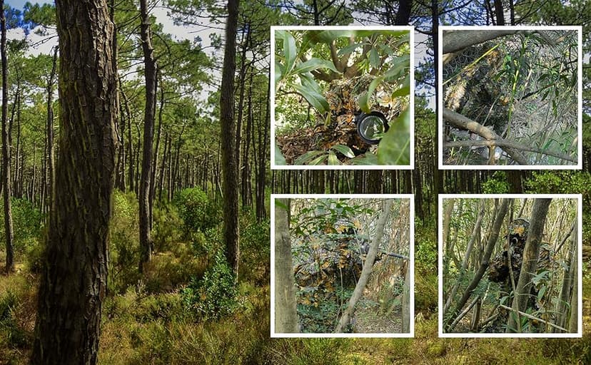 SCYLFEHDP Ghillie Suit, 3D Leafy Ghillie Suit and Camo Suit, Ghillie Suit for Men, Camouflage Suits, Turkey Hunting, Lightweight Gear Hunting Clothes for Outdoor Woodland and Halloween.