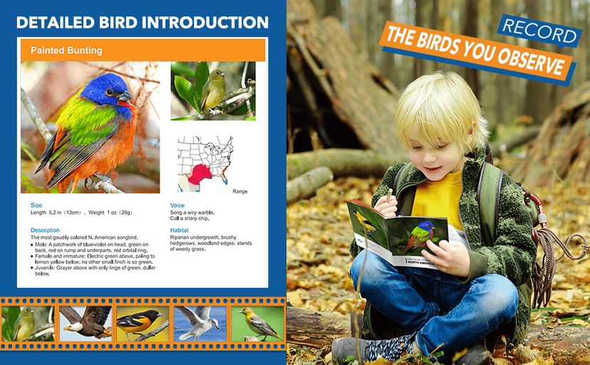 Toys for 3-7 Year Old Girls: LET'S GO! Binoculars for Kids Bird Watching|Camping|Hiking 3 4 5 6 7 8 Year Old Girl Boy Birthday Gifts Outdoor Toy for Kid Ages 4-6 Toddler Gift Stuffers B0C2CXZYPL